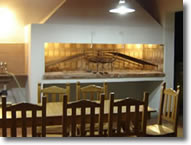 Hotel Termas